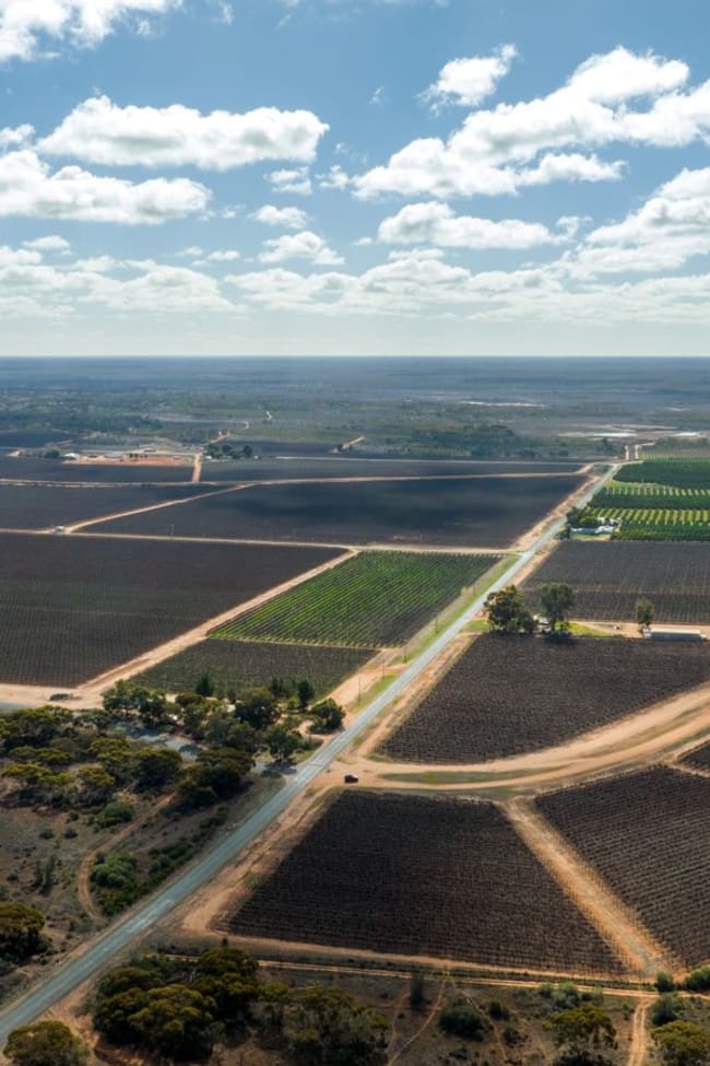 216 Hollands Lake Road Coomealla NSW 2717