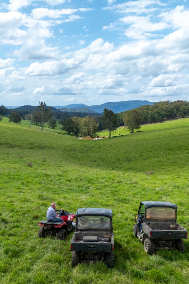 McPhee Beef Farms 2697 Kangaroo Flat Road Yarrowitch NSW 2354