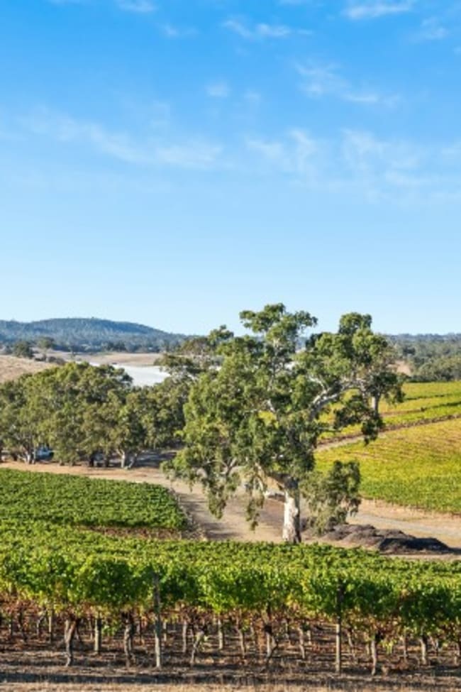160 Newman Road Charleston SA 5244