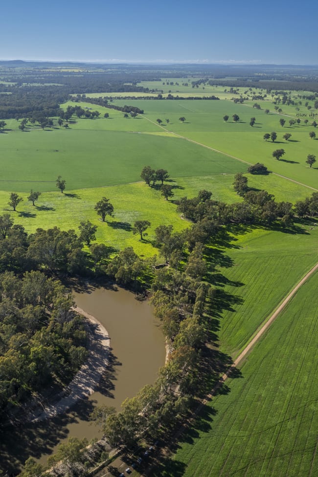 3688 Sturt Highway Collingullie NSW 2650 3688 Sturt Highway Collingullie NSW 2650