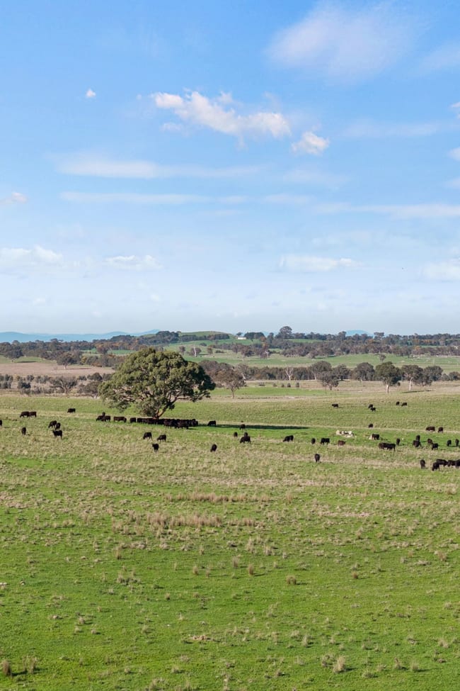 1830 Wargeila Road Yass NSW 2582