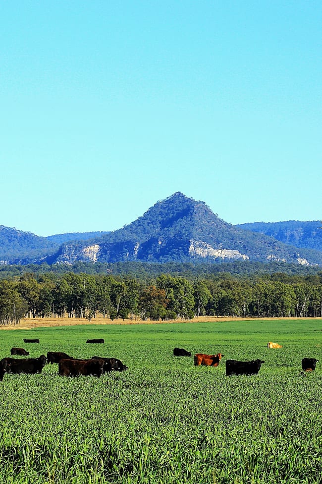 Rewan Road Rolleston QLD 4702