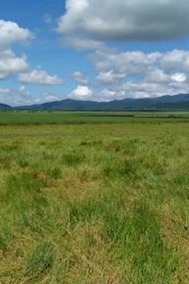 0 Formosa Road Silkwood QLD 4856