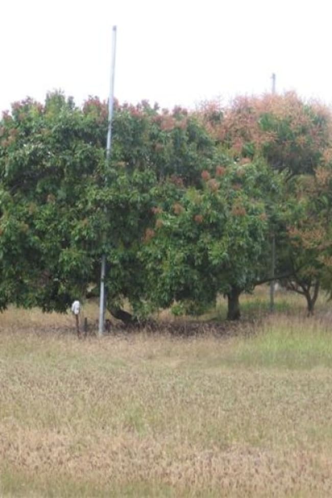 Lots 26 & 27 Bartlett Road Horseshoe Lagoon QLD 4809