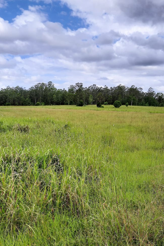 194 Crawfords Road Coombell NSW 2470