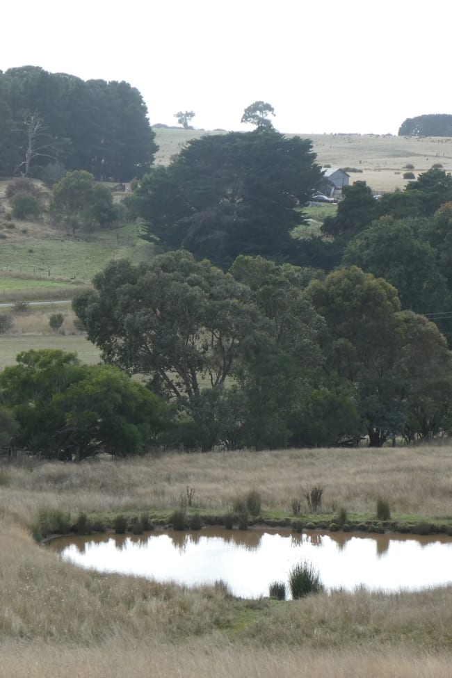 CA1 Sec 9 Beaufort-Carngham Road Carngham VIC 3351