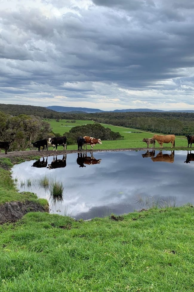 Lot 2 Mount Richard Road Kalgan WA 6330