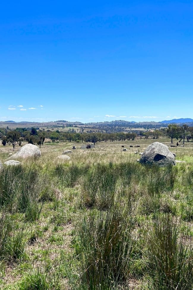 Lot 322 Jenkyn Lane Uralla NSW 2358