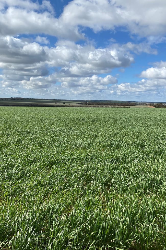 "Amaroo" East Kulin Kulin WA 6365