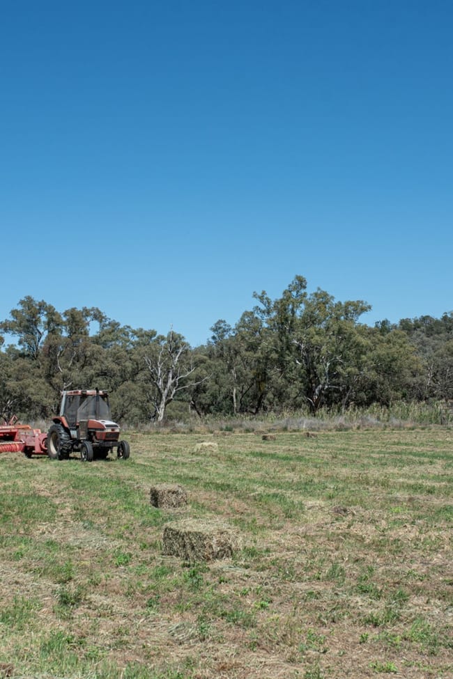 Geurie NSW 2818