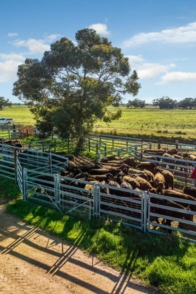 495 Burraboi Road Barham NSW 2732