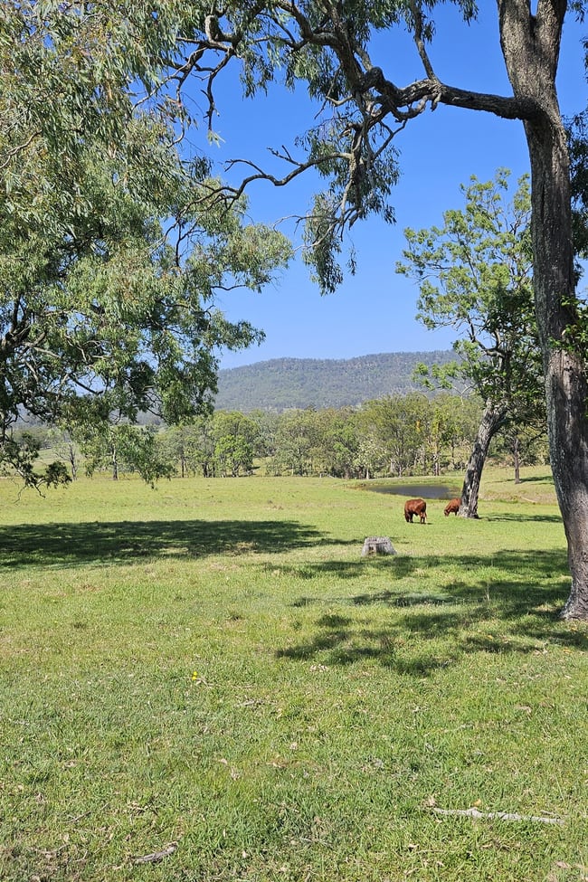 370 Torryburn rd Torryburn via Vacy NSW 2421