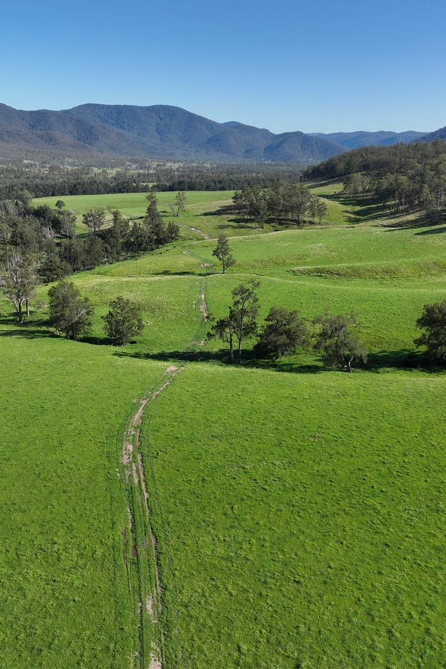 Old Glen Innes Road Newton Boyd NSW 2370