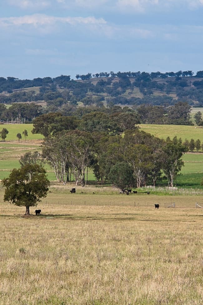 Galambine NSW 2850