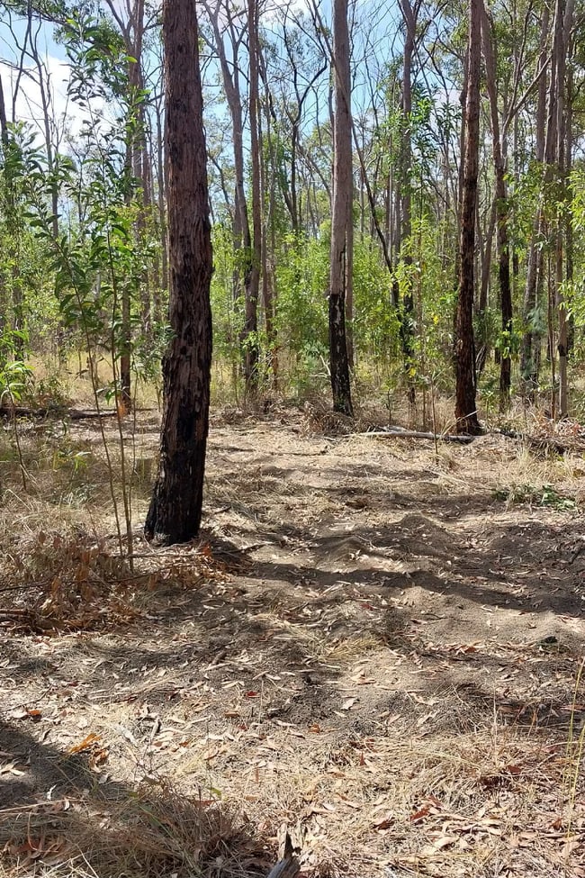 Lot26 Doughboy Road Doughboy QLD 4671