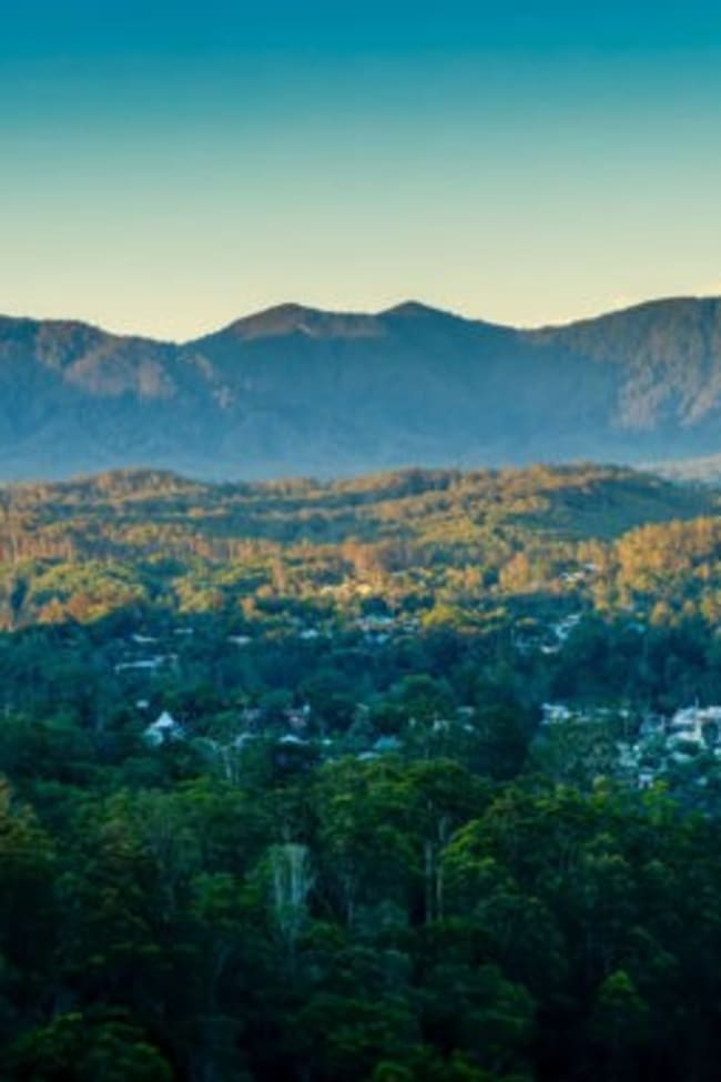 219 Bowraville Road Bellingen NSW 2454 219 Bowraville Road Bellingen NSW 2454