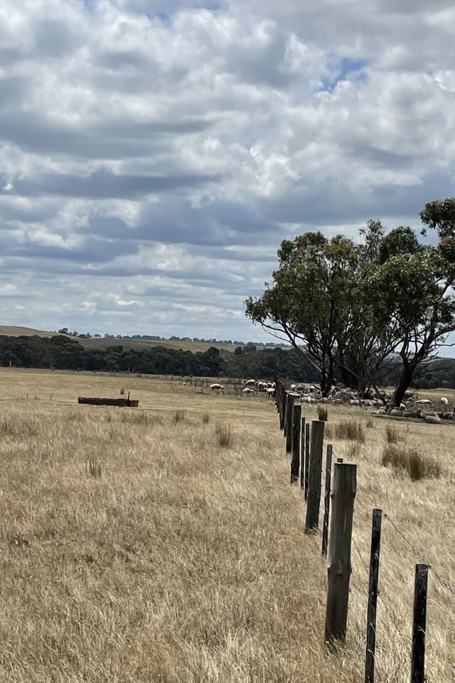 Nolans Road Henty VIC 3312