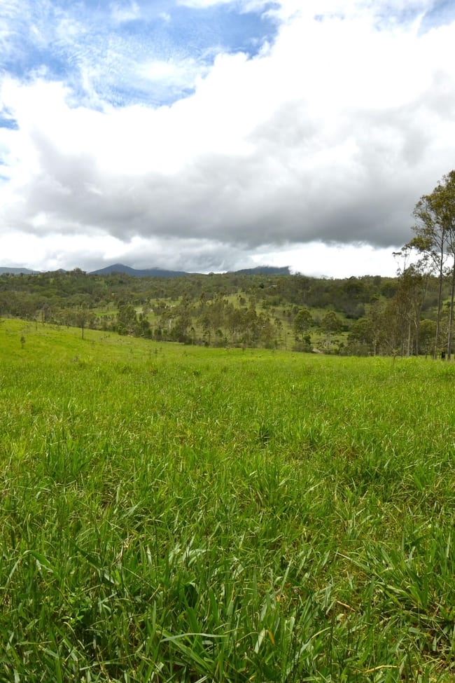 Lot 167 Towns Creek Road Mount Perry QLD 4671