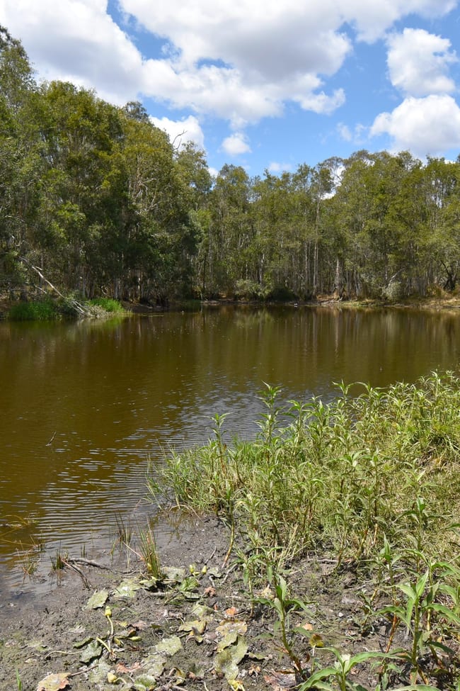 30428 Bruce Highway Isis Central QLD 4660