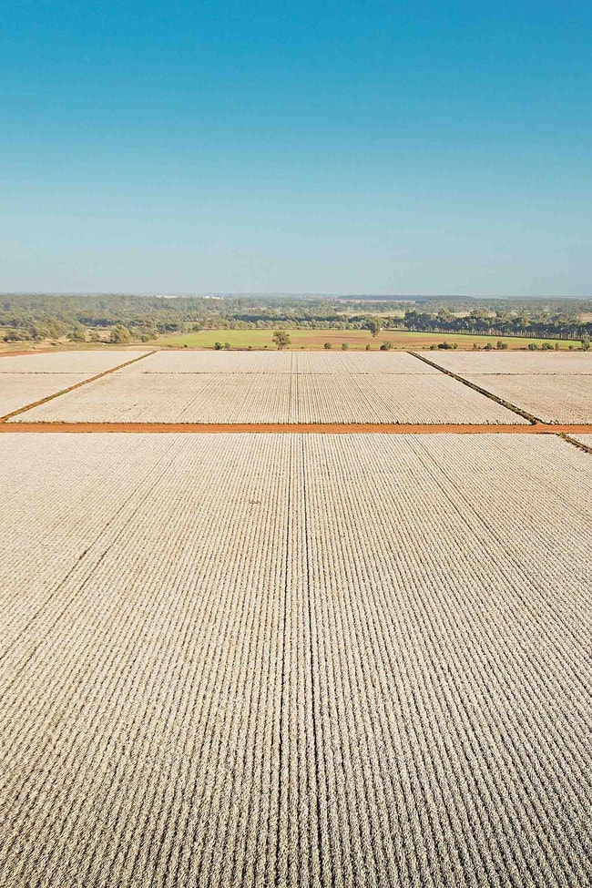 Whitton NSW 2705 Whitton NSW 2705