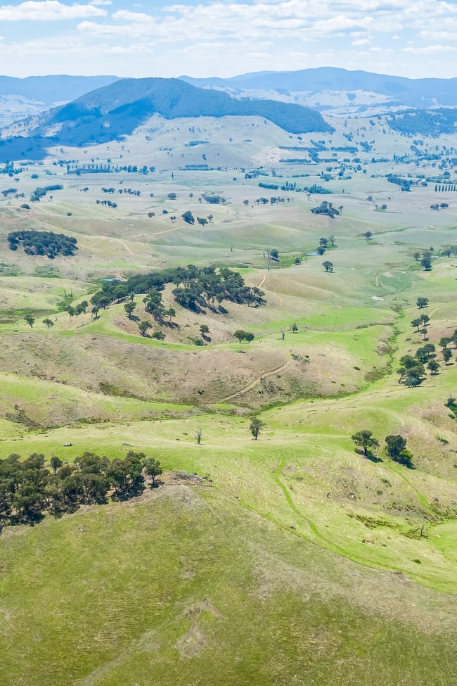 "Tom's" Tallys Lane Tallangatta Valley VIC 3701
