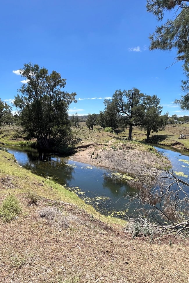 Lot 10, 3140 Golden Highway Gungal NSW 2333