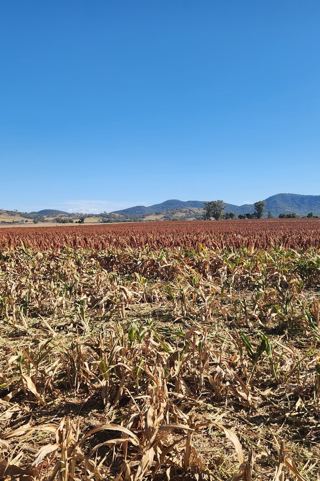 . Duri Winton Rd Winton NSW 2344