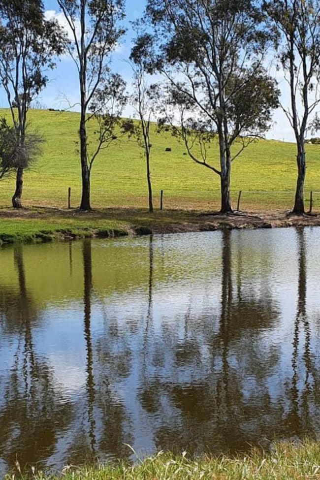 2745 Seymour-Tooborac Road Tooborac VIC 3522