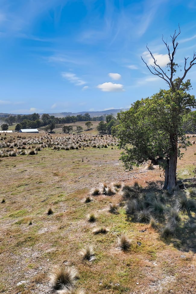 612 Lower Bendoc Road Bendoc VIC 3888