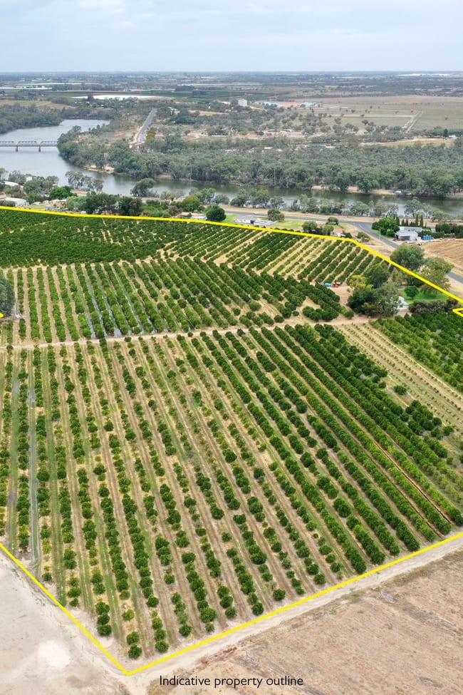615 Delta Road Curlwaa NSW 2648
