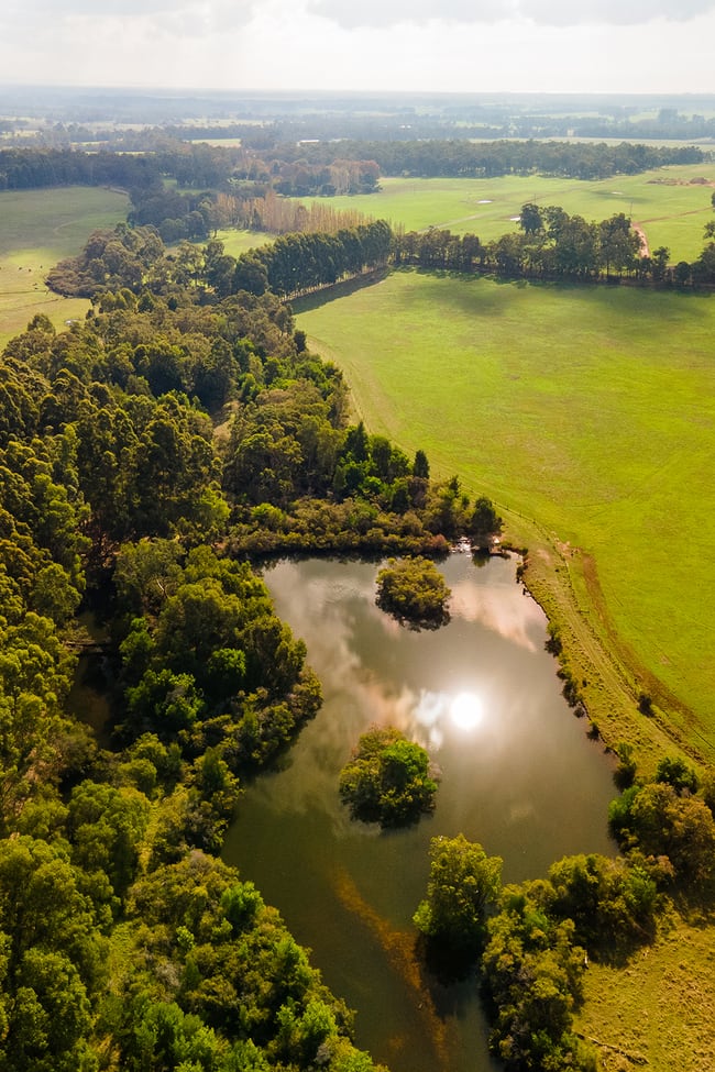 131 Price Road Chapman Hill WA 6280