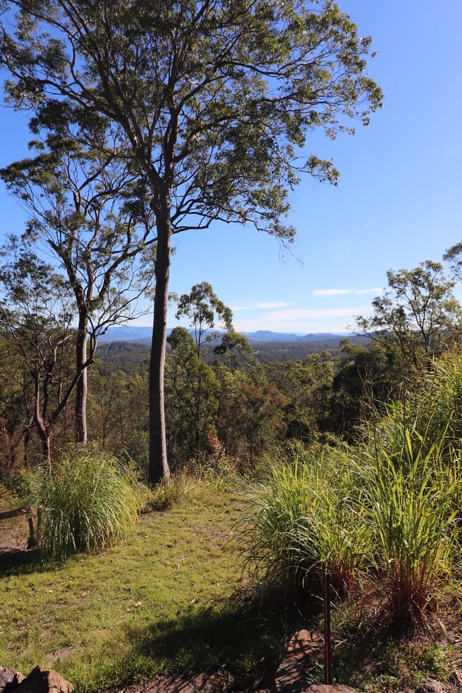 80 Earth First Rd Mungay Creek NSW 2440