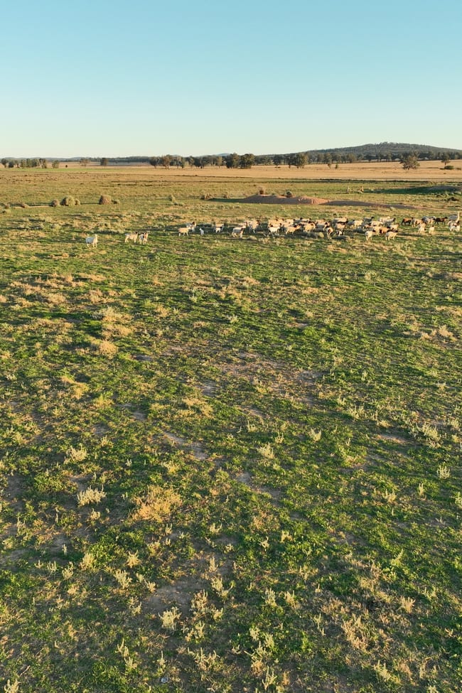 'Westdale' 169L Narromine Road Dubbo NSW 2830