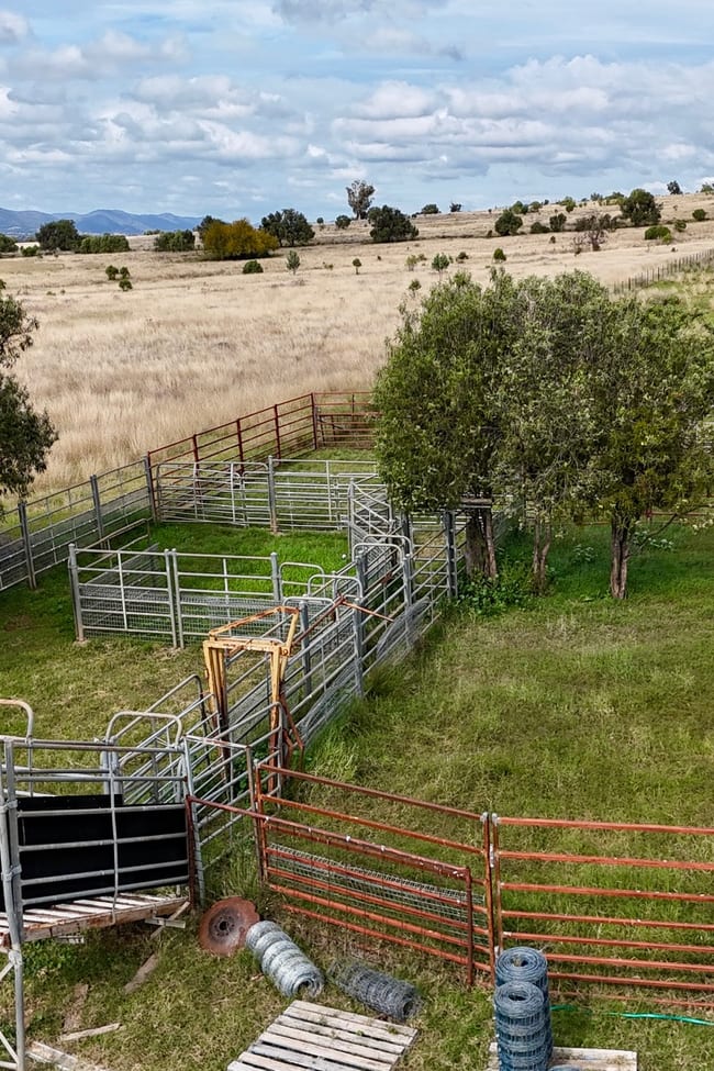 The Wilgas/ Cobbadah Road Bingara NSW 2404