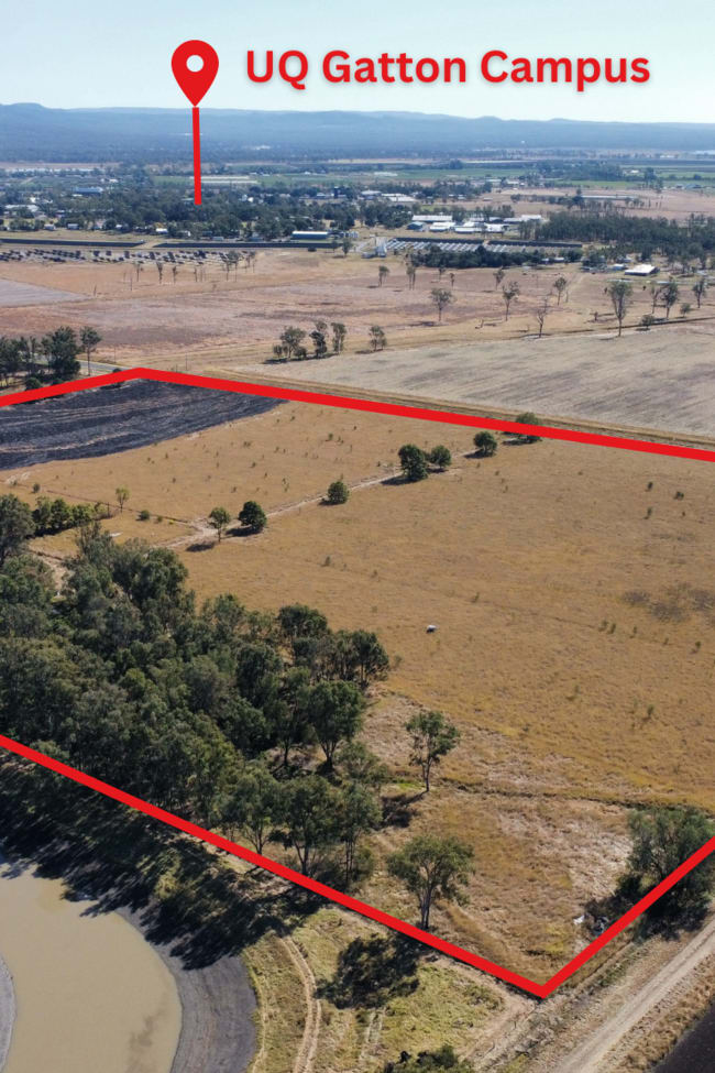 Lot 1 Gatton Laidley Road Lawes QLD 4343
