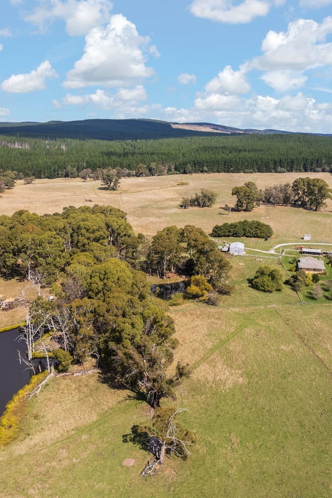 800 Riverview Forest Road Mozart NSW 2787