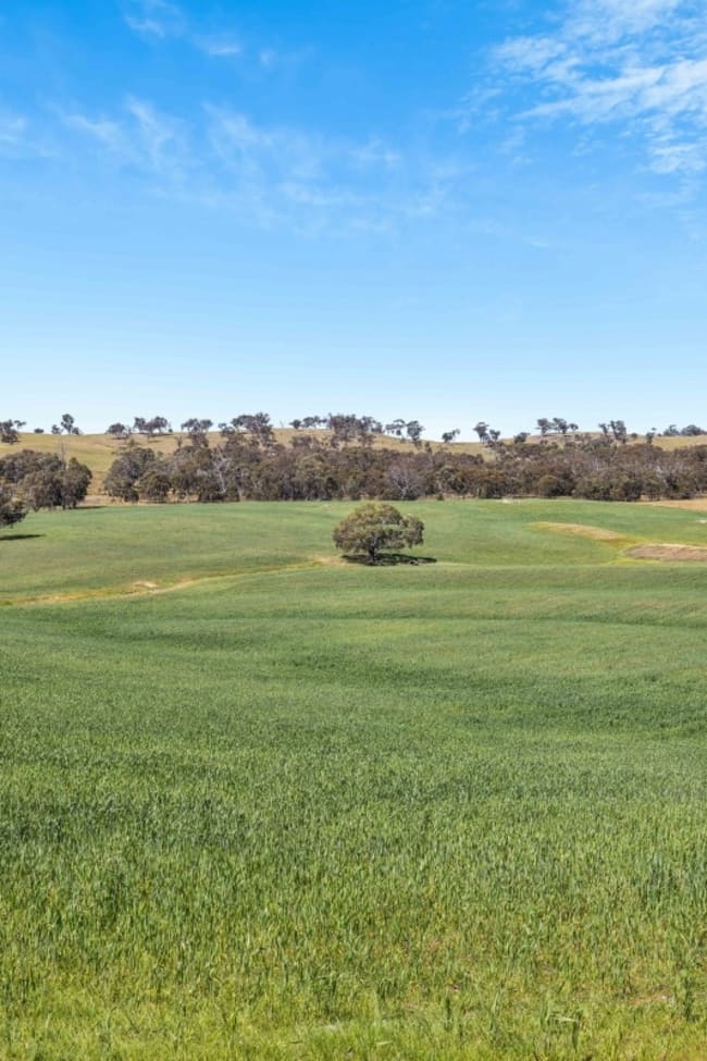 Lot 50 Fendlers Road Tungkillo SA 5236