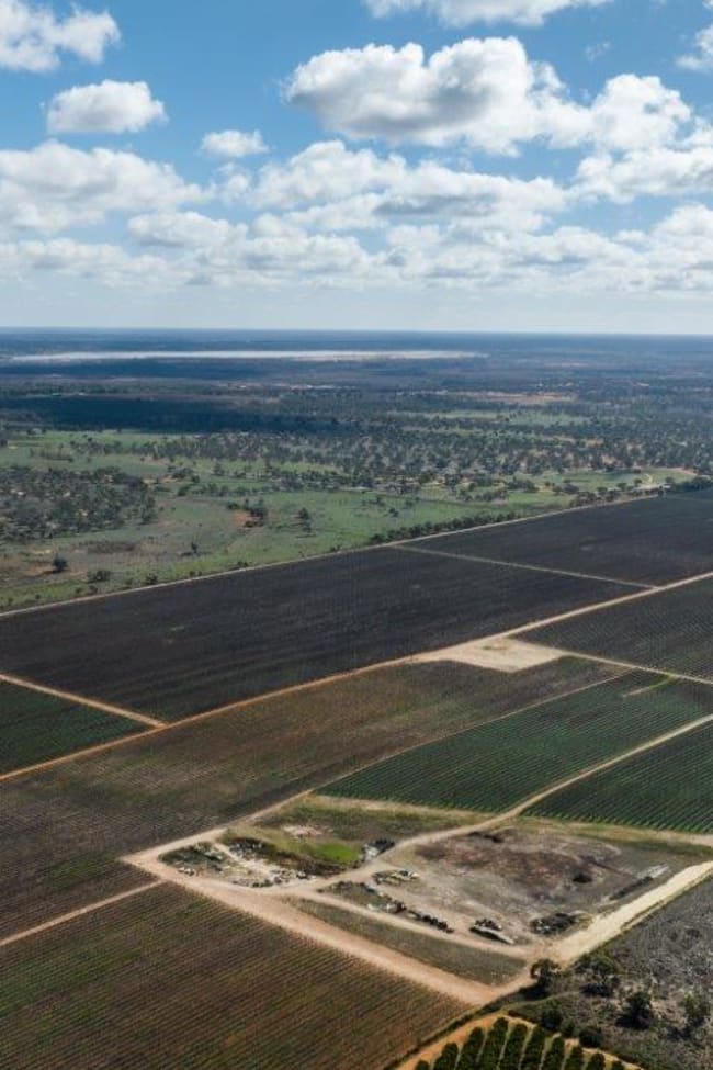 216 Hollands Lake Road Coomealla NSW 2717