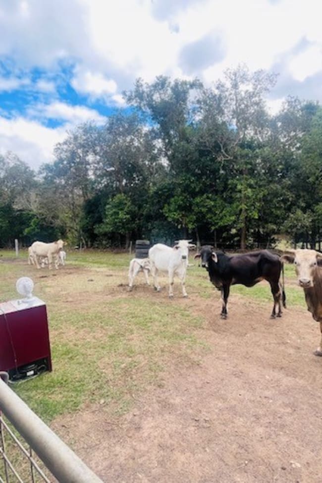 248 Middle Creek Road Sarina QLD 4737