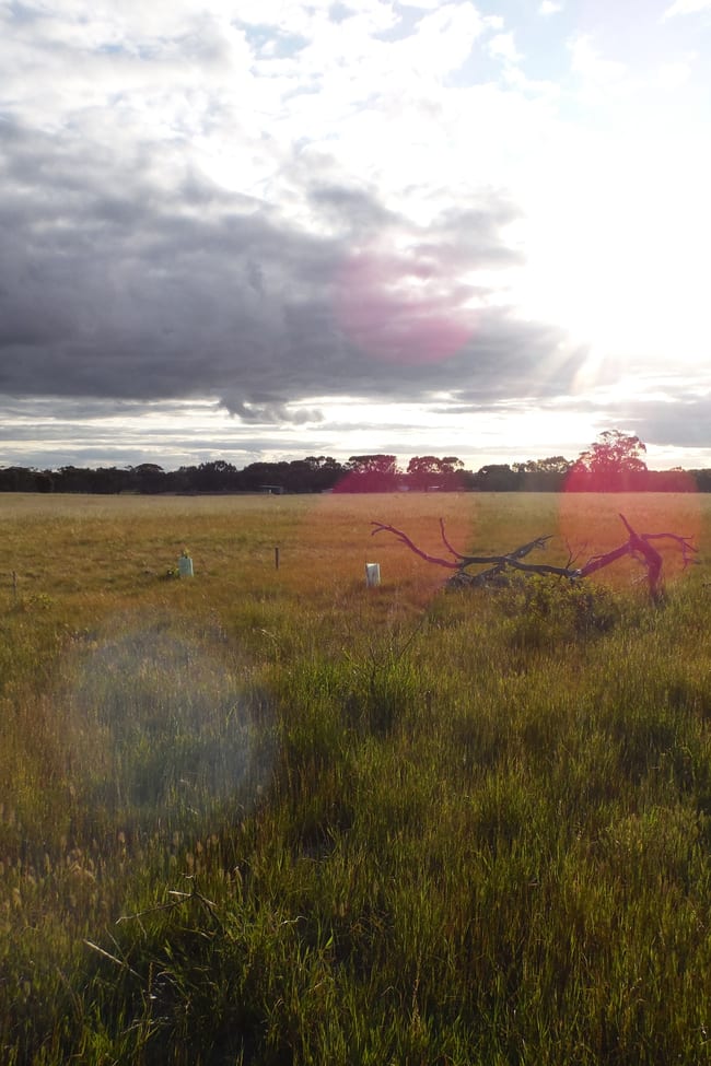 Lot 417 Great Southern Highway Broomehill Village WA 6318