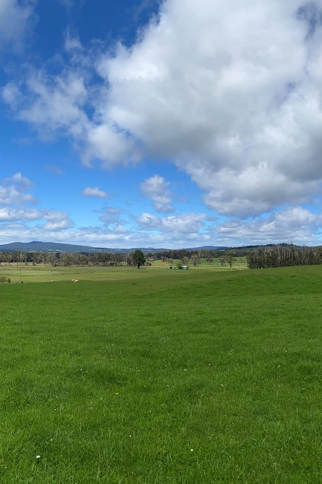 114 Gilbeys Road Loira TAS 7275
