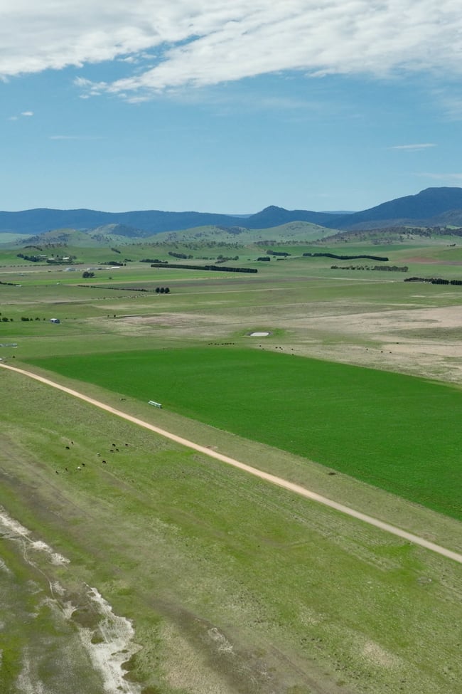 355 Lake Omeo Road Benambra VIC 3900
