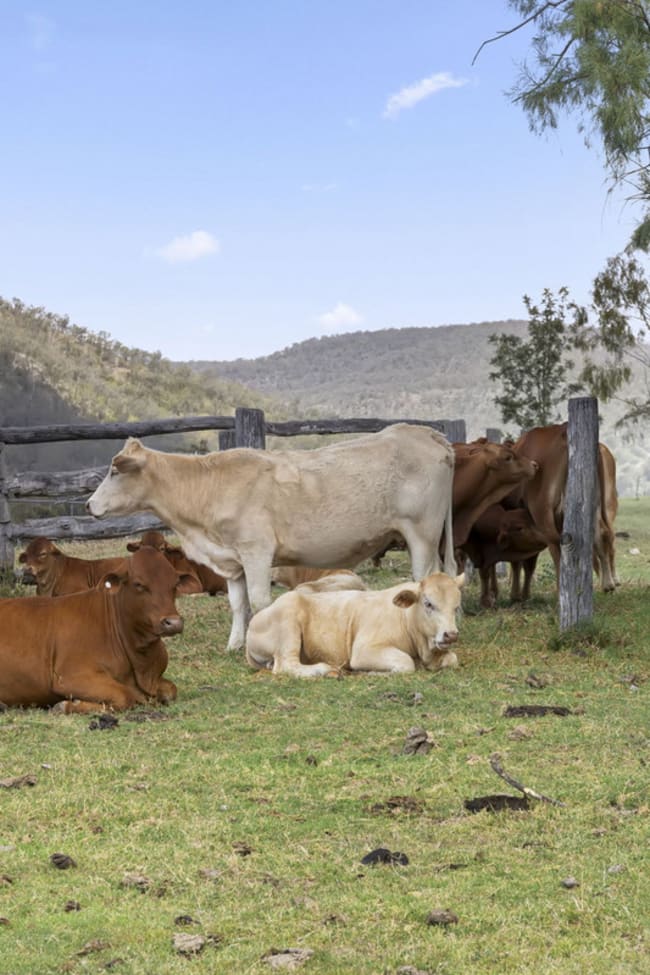 26 Macginley Road West Haldon QLD 4359