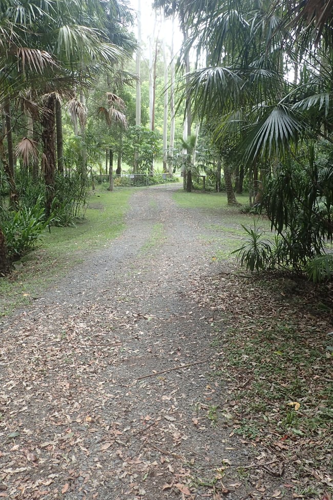 685 Bagotville Road Bagotville NSW 2477