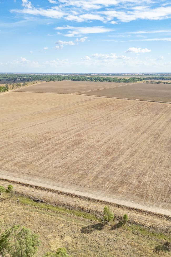 1389 Wambianna Road Gin Gin NSW 2823