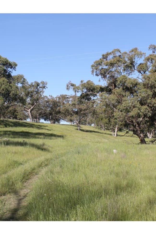 Golden Highway Cassilis NSW 2329