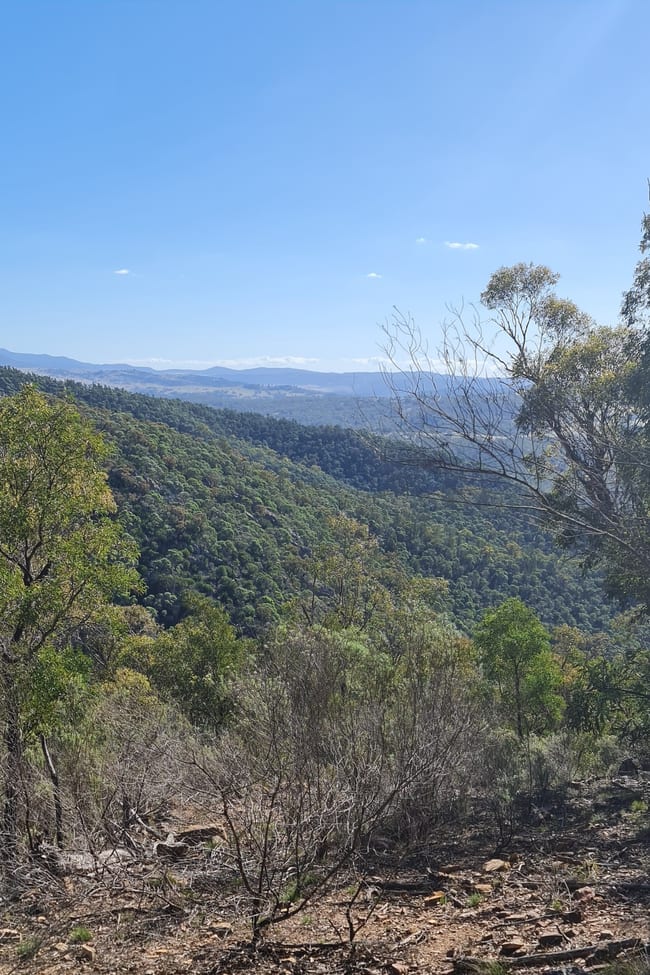 Lot 34 Palarang Road Merriangaah NSW 2632