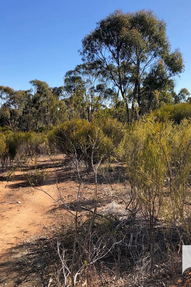 8 Boort-Wedderburn Road Wedderburn VIC 3518