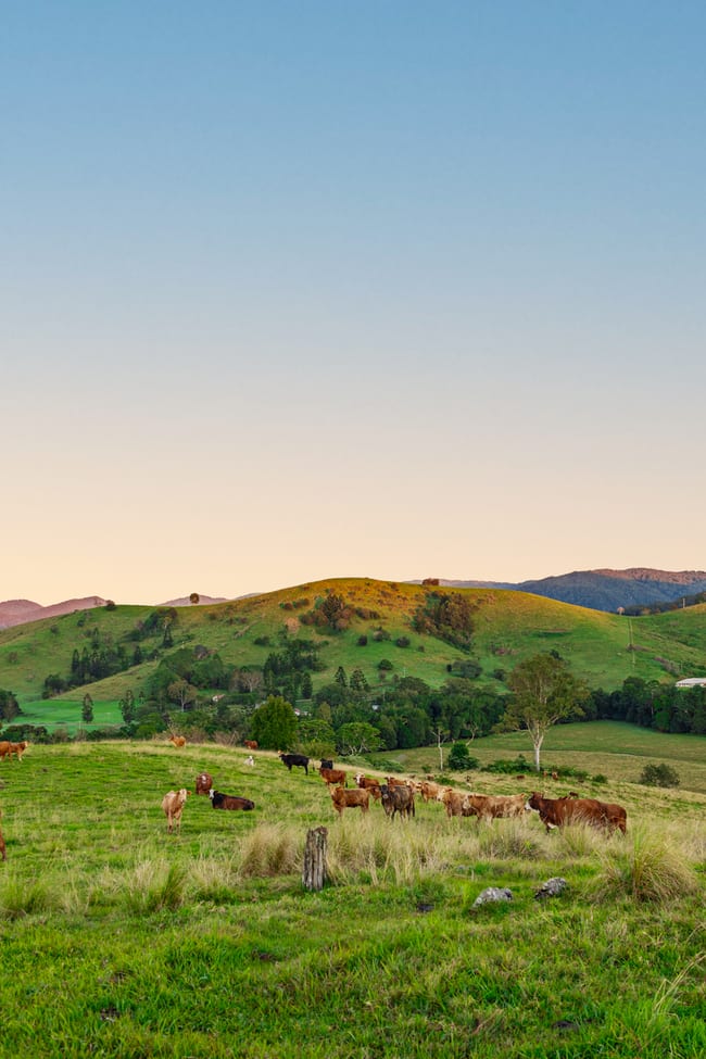 488 Commissioners Flat Road Peachester QLD 4519