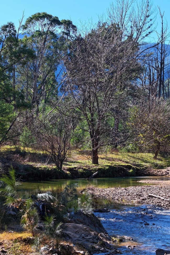 Lot 4 Araluen Road Araluen NSW 2622